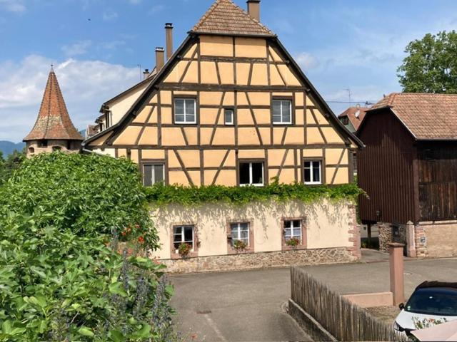 Joli Gite 2 Personnes En Alsace Guémar 외부 사진