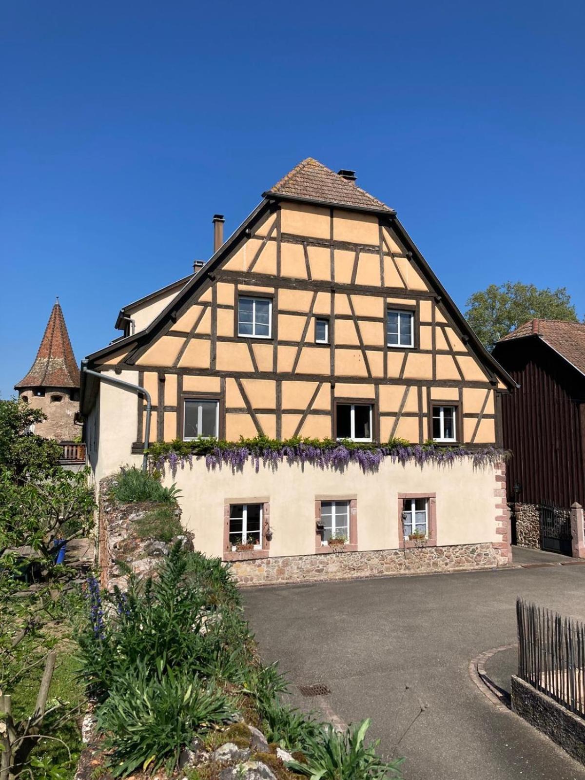 Joli Gite 2 Personnes En Alsace Guémar 외부 사진